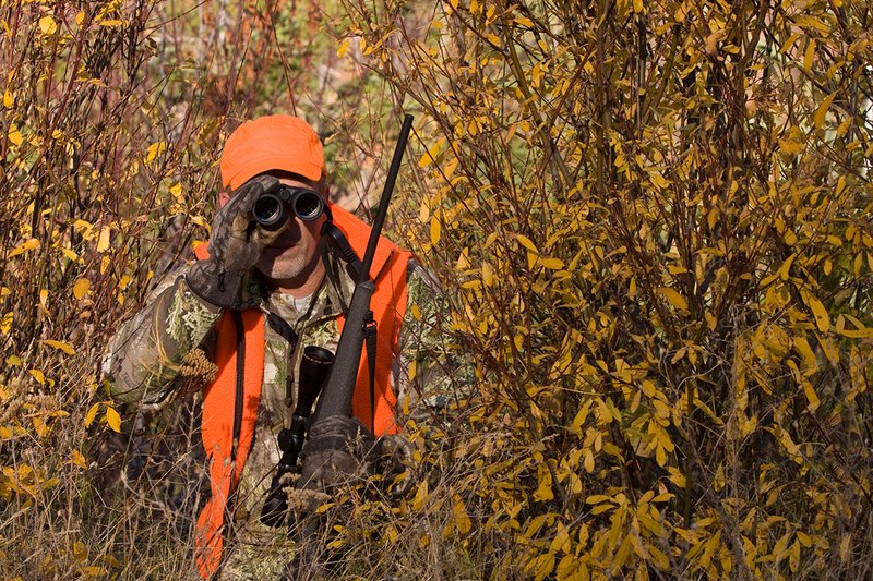 TC-Rifle Hunters-D90000-01357.jpg :: Rifle hunter wearing Realtree Max 1 camo and a florescent orange vest and hat crouched in willows watching game animals using a Sightron 10x42 binocular