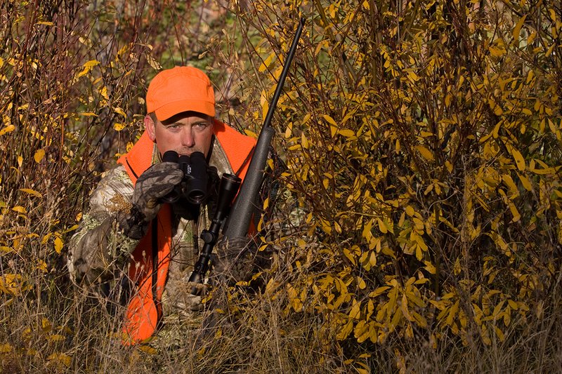 TC-Rifle Hunters-D90000-01359.jpg :: Rifle hunter wearing Realtree Max 1 camo and a florescent orange vest and hat crouched in willows watching game animals using a Sightron 10x42 binocular