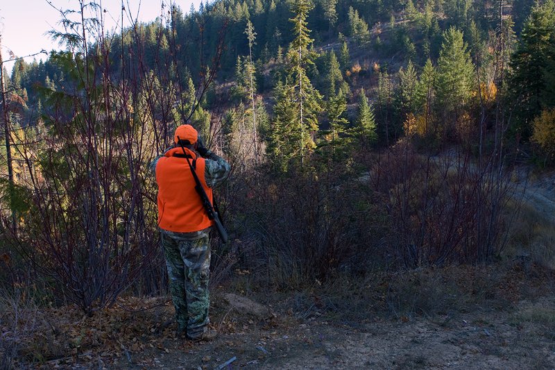 TC-Rifle Hunters-D90000-01368.jpg :: Rifle hunter wearing Realtree Max 1 camo and florescent orange vest and hat glasses an old clear cut fro game