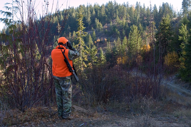 TC-Rifle Hunters-D90000-01374.jpg :: Rifle hunter wearing Realtree Max 1 camo and florescent orange vest and hat glasses an old clear cut fro game