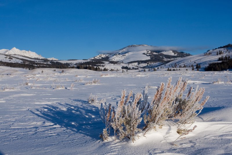 TC-Yellowstone winter-DYNP-W-00001.jpg :: Electric peak on far left and Mount Sepulcher with band of clouds on horizon of Swan Lake Flats covered by snow and fridgid air in Yellowstone National Park