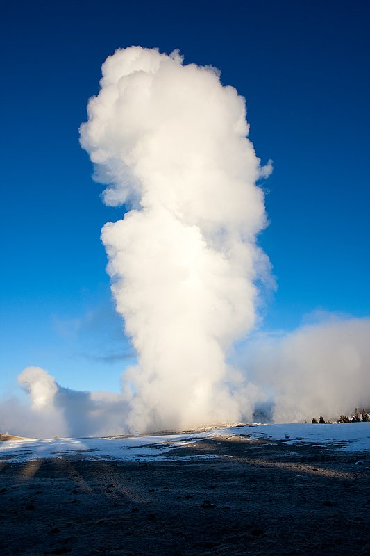 TC-Yellowstone winter-DYNP-W-00156.jpg :: Old Faitful Geyser erupting against blue sky and in fridgid cold air in winter in Yellowstone National Park