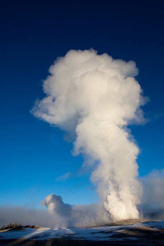 TC-Yellowstone winter-DYNP-W-00165.jpg :: Old Faitful Geyser erupting against blue sky and in fridgid cold air in winter in Yellowstone National Park