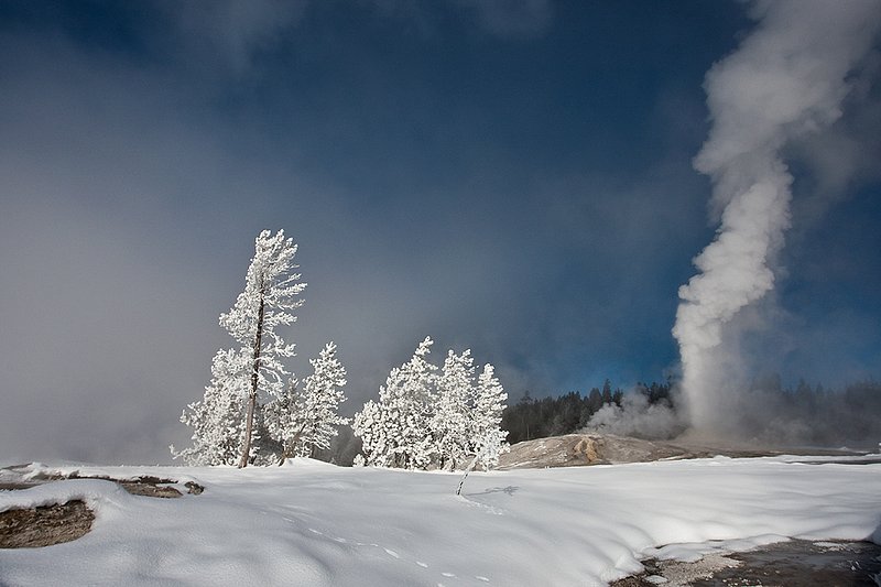 TC-Yellowstone winter-DYNP-W-00189.jpg :: Yellowstone National Park's Lion Geyser errupting in fridgid January air against a frosty fog created by geyser's warm water