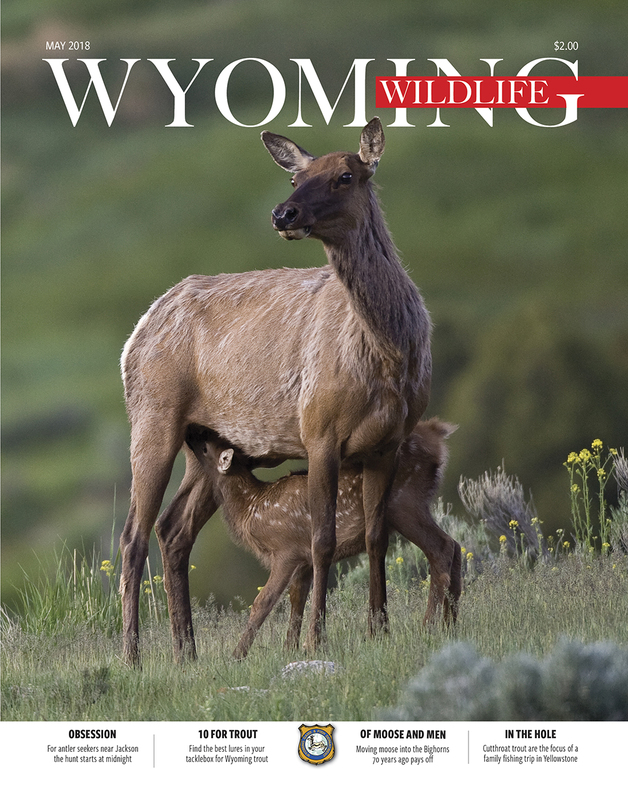 WW May 2018 Cover.jpg