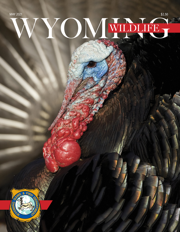 WW May 2021 Cover.jpg