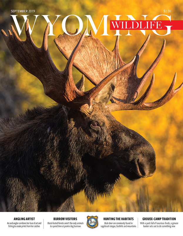 WW-September-2019- Moose Cover.jpg :: 2019_September_final.indd