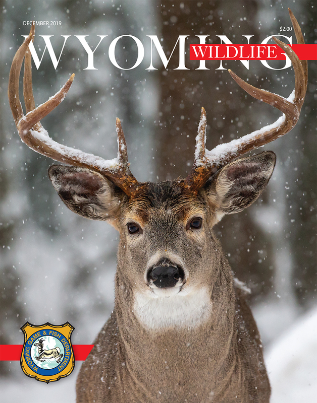 WW-Whitetail cover 12-19.jpg