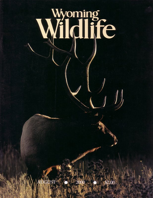 Wyoming Wildife Cover .1.jpg