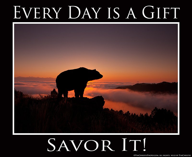 Every Day is a gift Poster.jpg