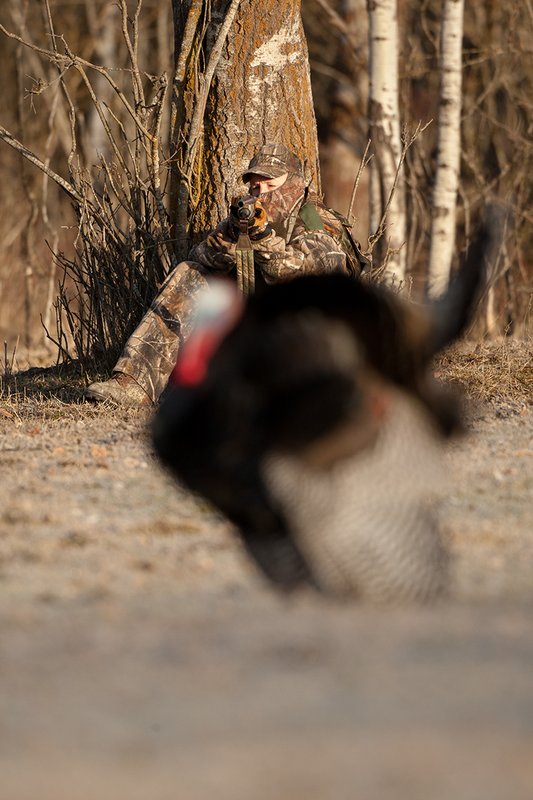 TC-Hunter w Turkey in sights-D01002-00045.jpg :: Turkey hunter dressed in Realtree AP Camo sits with his back against a tree aiming a shotgun behind long-bearded wild turkey gobbler strutting in frost covered meadow at first light