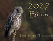 Birds Cover.jpg