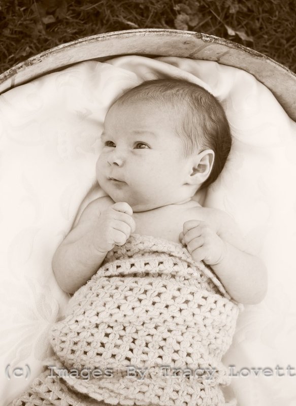 15sept_5696 copy.jpg