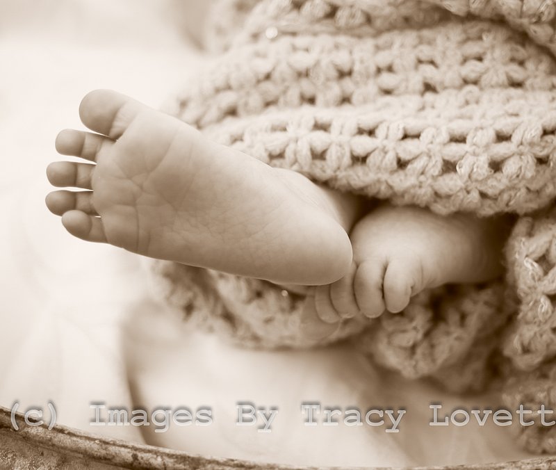 15sept_5730 copy1.jpg