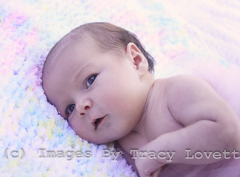 15sept_5868 copy.jpg