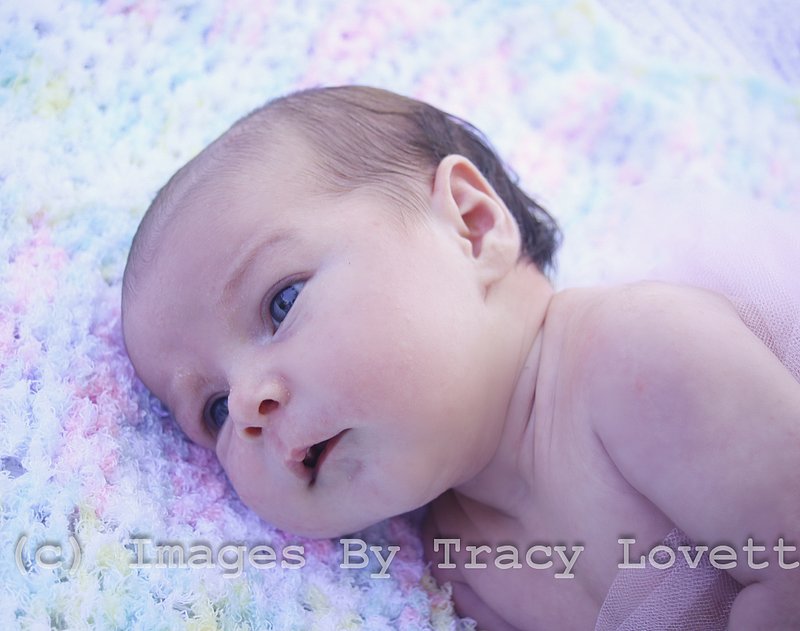 15sept_5874 copy.jpg