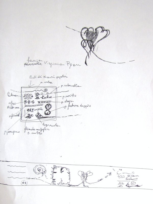 NASCITA project january 09 016.jpg