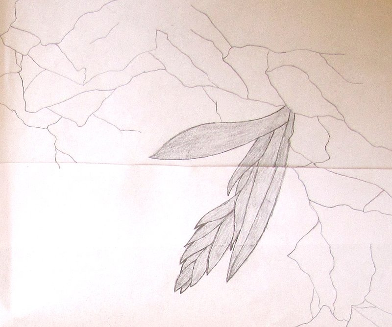 NASCITA project january 09 017.jpg