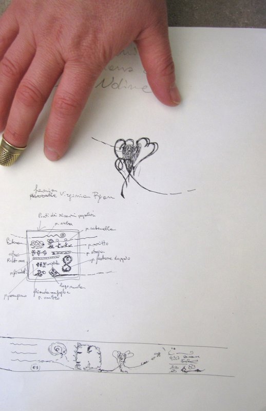 NASCITA project january 09 026.jpg