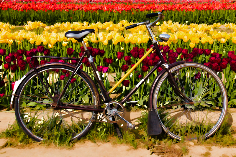 _MG_2067EOS 70D05_03_18-Edit.jpg