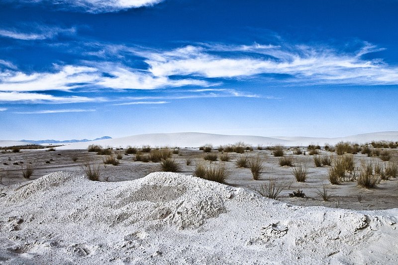 AIMG_1581-Edit (1094 x 729).jpg