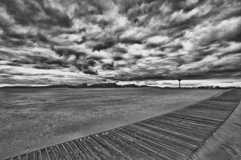 Alternet State 2010 (1).jpg