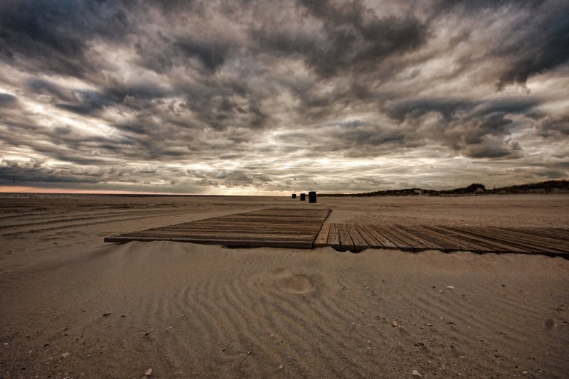 Alternet State 2010 (10).jpg