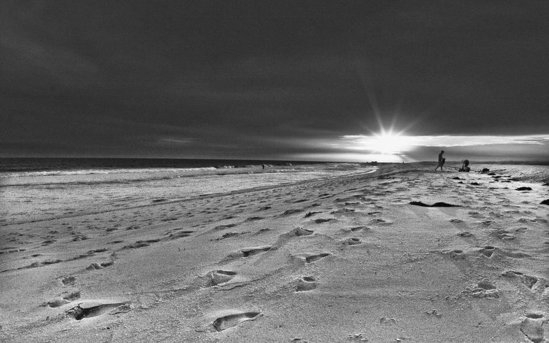 Alternet State 2010 (11).jpg