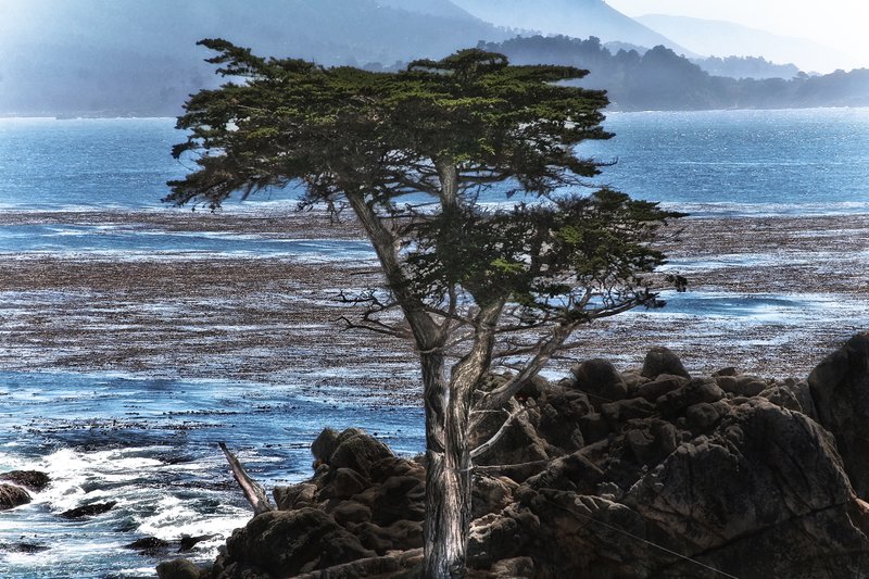 Alternet State 2010 (2).jpg