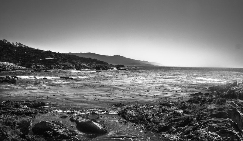 Alternet State 2010 (3).jpg