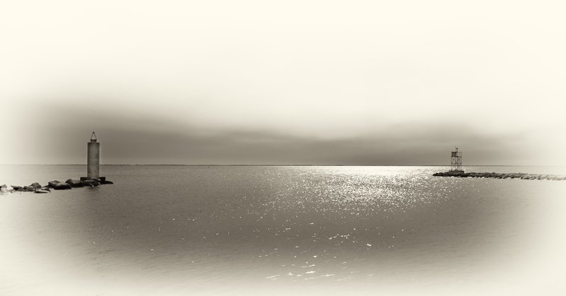 Alternet State 2010 (5).jpg