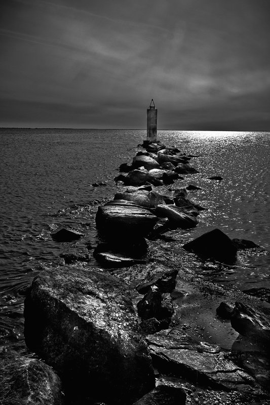 Alternet State 2010 (7).jpg