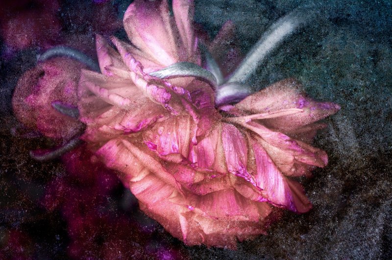 IMG_176588- Competition (2200 x 1460).jpg