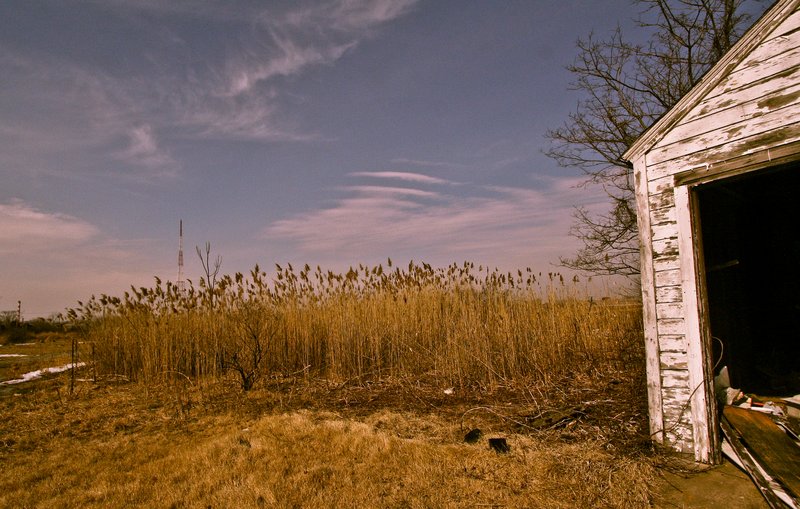 IMG_180 Pleasure Beach (2).jpg