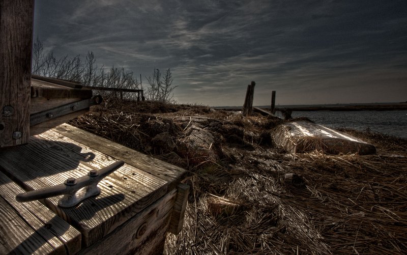 IMG_1854 JAMICA BAY UNIT AND THE ROCKAWAYS (10).jpg