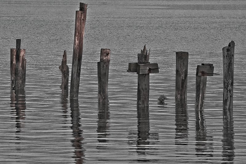 IMG_1854 JAMICA BAY UNIT AND THE ROCKAWAYS (20).jpg