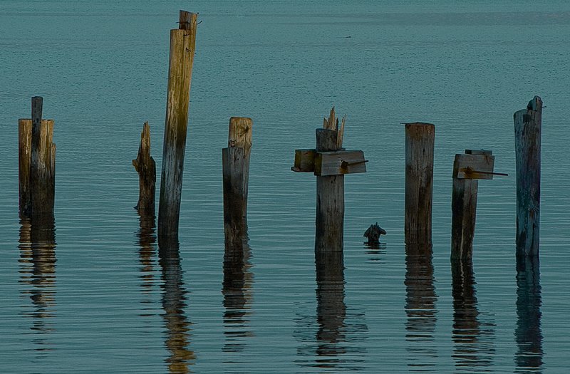 IMG_1854 JAMICA BAY UNIT AND THE ROCKAWAYS (21).jpg