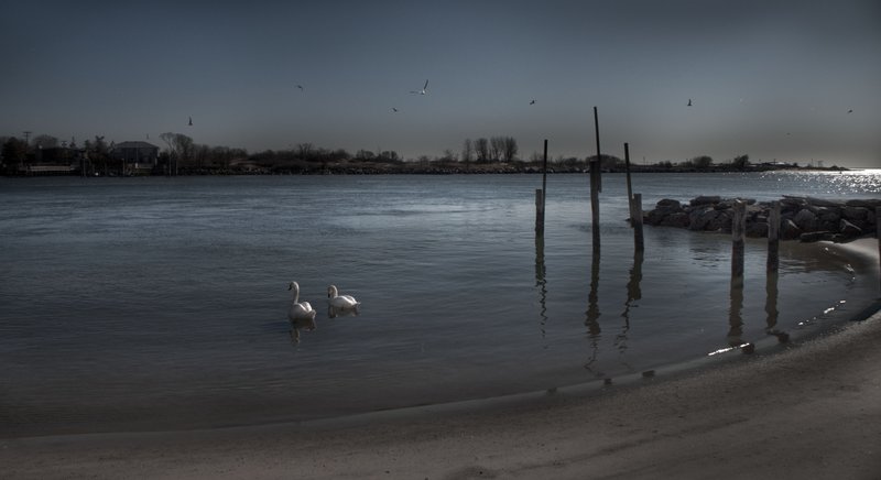 IMG_1854 JAMICA BAY UNIT AND THE ROCKAWAYS (35).jpg