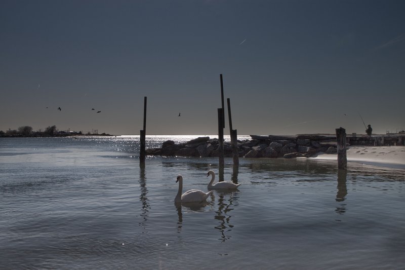 IMG_1854 JAMICA BAY UNIT AND THE ROCKAWAYS (36).jpg