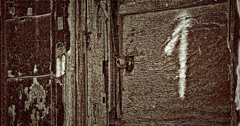 IMG_1854 JAMICA BAY UNIT AND THE ROCKAWAYS (45).jpg