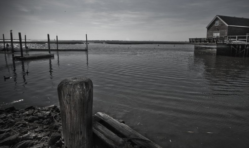 IMG_1854 JAMICA BAY UNIT AND THE ROCKAWAYS (5).jpg