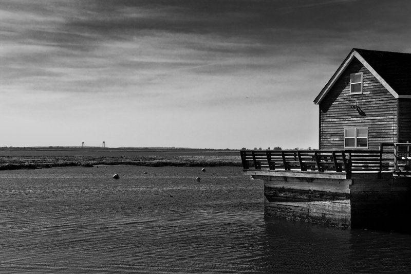 IMG_1854 JAMICA BAY UNIT AND THE ROCKAWAYS (6).jpg