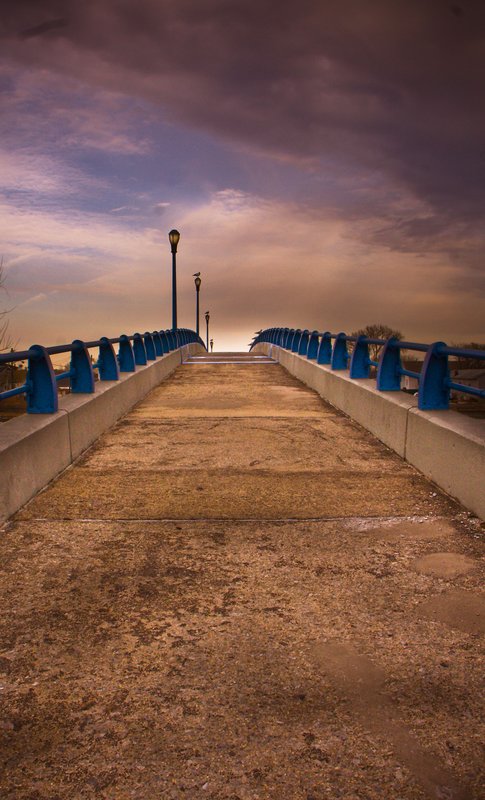 IMG_1854 JAMICA BAY UNIT AND THE ROCKAWAYS (60).jpg