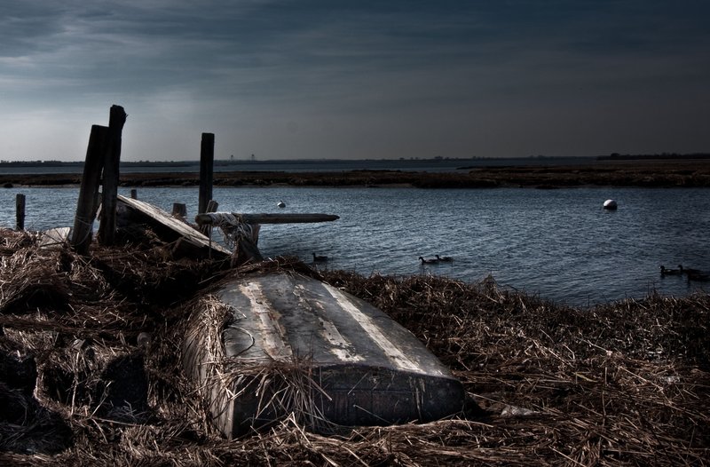 IMG_1854 JAMICA BAY UNIT AND THE ROCKAWAYS (9).jpg
