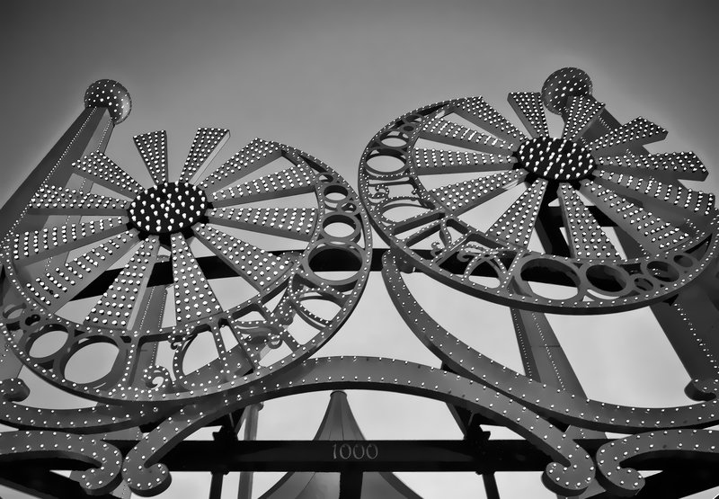 IMG_2597 black and white.jpg