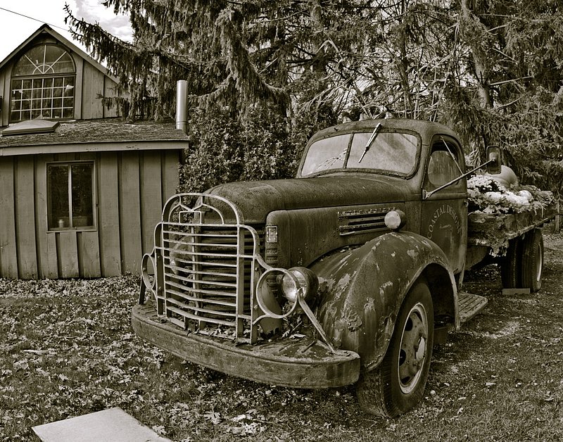 IMG_4469 12 (13).jpg