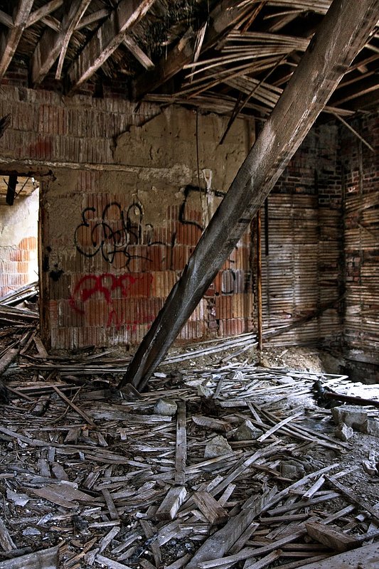 IMG_4469 12 (17).jpg