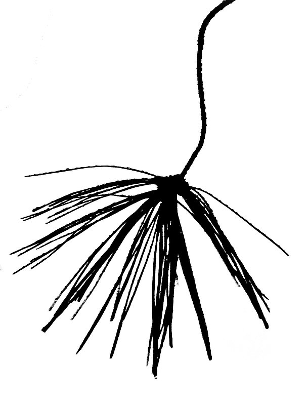 IMG_5905-926 (1).jpg