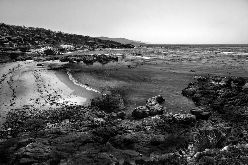 IMG_5905-926 (13).jpg