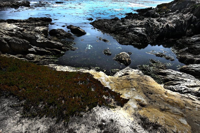 IMG_5905-926 (14).jpg